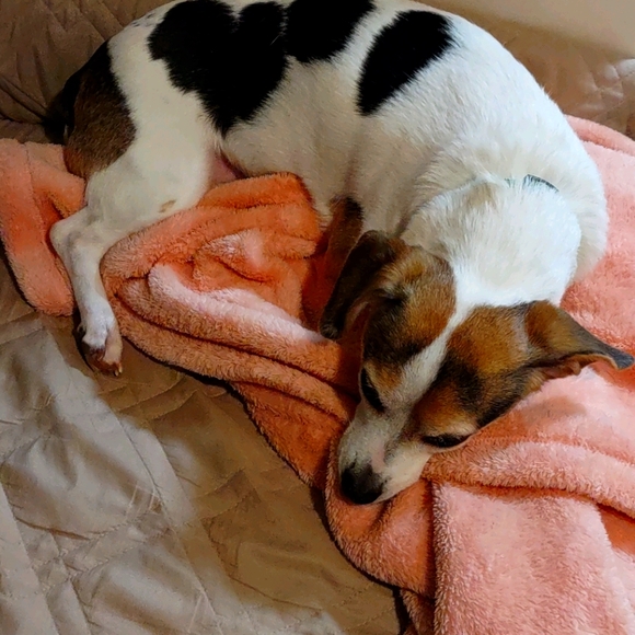 Meet your Posher, Danielle - Picture 6 of 11